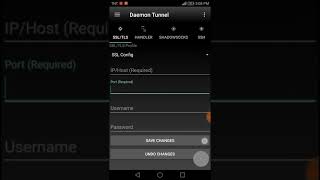 Daemon Tunnel 4.0 Talk n Text SSL/TSL screenshot 5