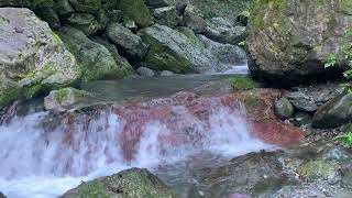 IMG 7780 HEVC