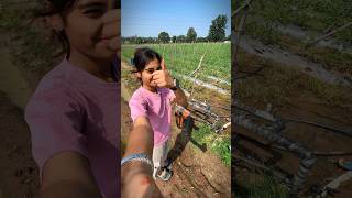 Npk 126100 Ka Fertigation Matar Me