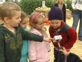 PETALUMA PUMPKIN PATCH!