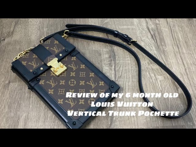 Louis Vuitton Vertical Trunk Pochette (6-month review) 