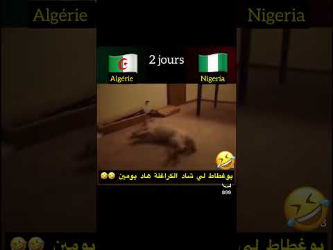 الكراغلة شادهم بوغطاط هاد يومين ليبقات بسبب نيجريا