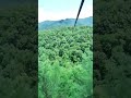 Nantahala Gorge Ziplining 06 15 2025