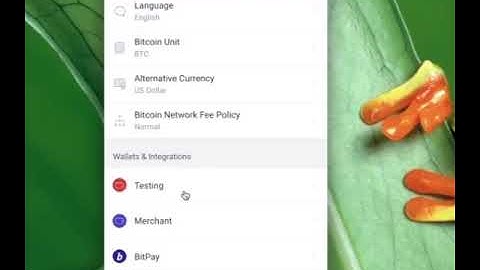 How to backup your Bitpay Account