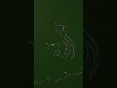 لا جواب عند السلفية عند إلزامهم بالخ راء على وجه ربهم التح تاني حسب العقيدة الواسطية