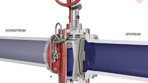 General Twin Seal Animation