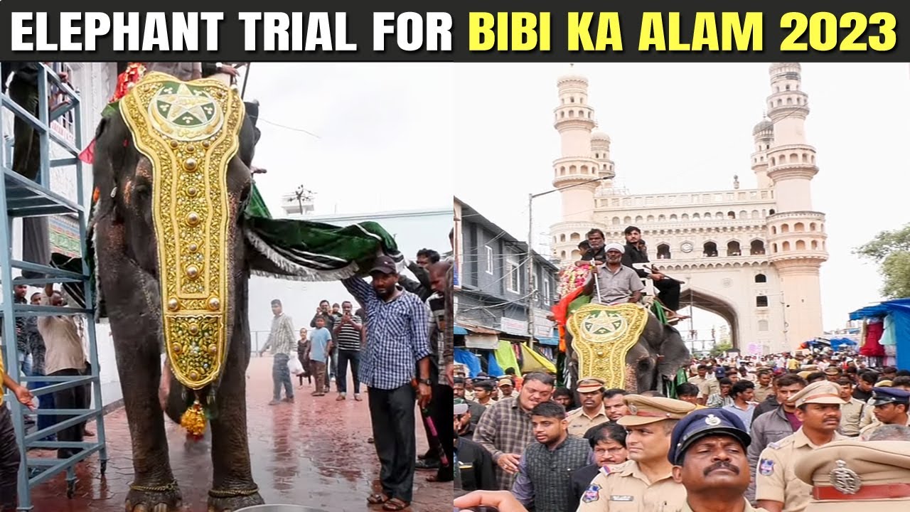 Elephant Trial For Bibi Ka Alam 2023 | Sawari-e-Alam-e-Bibi | 5th Muharram 1445H