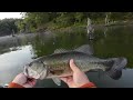 Catching Finicky Largemouth Bass ￼
