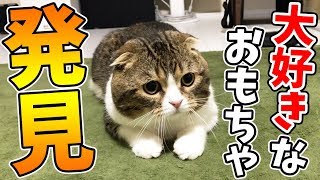 お気に入りのおもちゃでママと遊ぶぽこ太郎