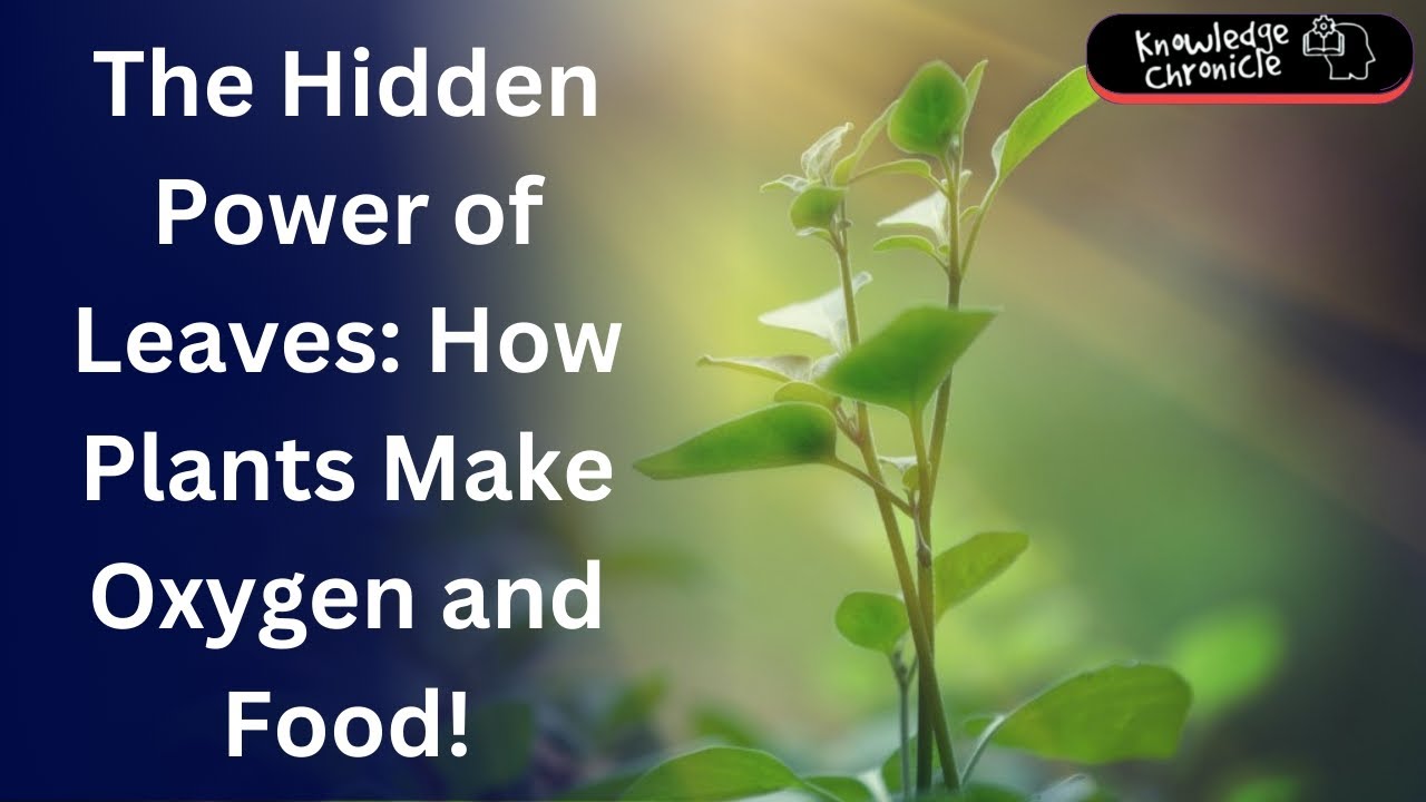 Photosynthesis Uncovered: The Secret Power of Plants.