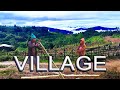 Bamboo fence in village  village development ideas      