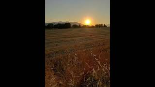 İbrahim Tatlıses - Akşamdan Akşama ☀️