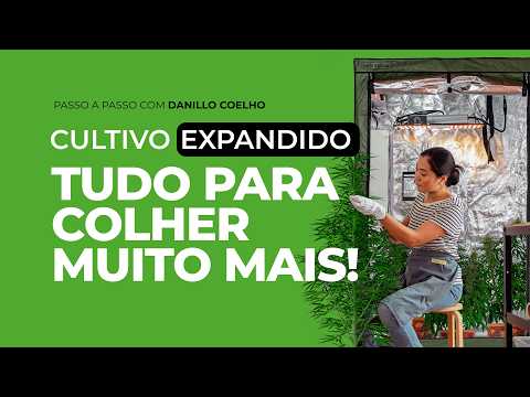 Kit Grow de Cannabis para Grandes Colheitas em Casa | Dicas e Equipamentos | Cultivo Avançado