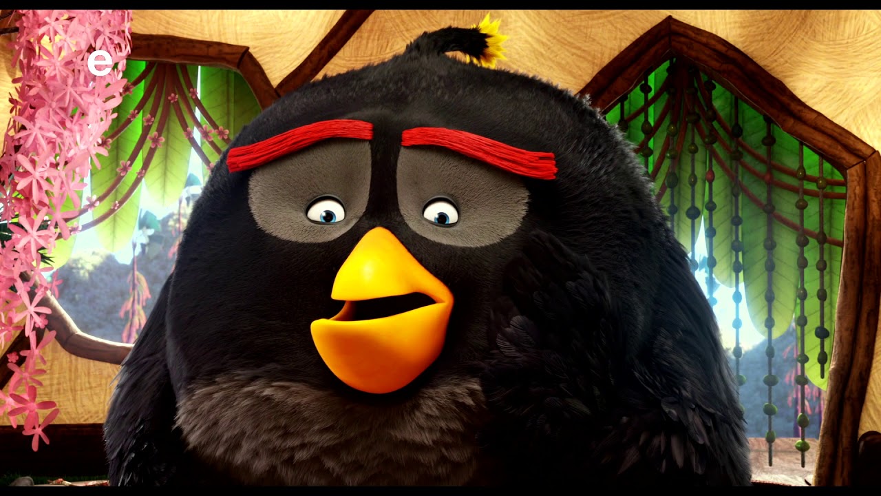 Angry Birds Tonight scandalo magistratura