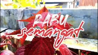 story wa rabu semangat