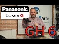 Panasonic GH 6 + 100-400mm