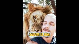 Le Lion Nest-Il Pas Une Bête Féroce ?