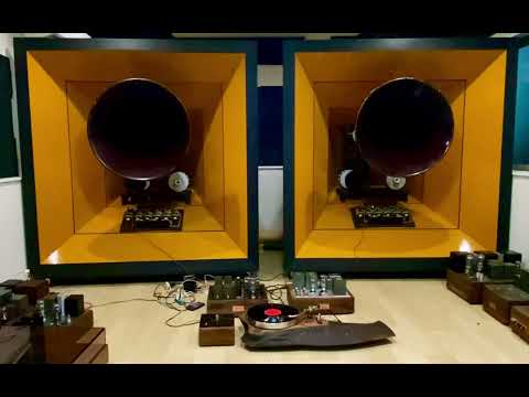 300b SE with phono preamp and record player