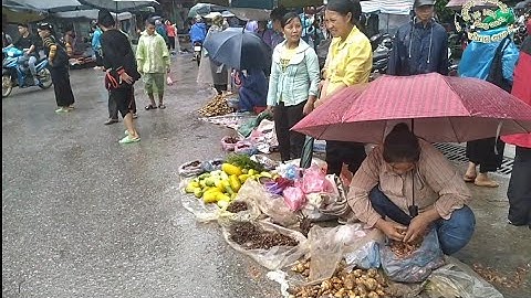 CHỢ PHIÊN ĐÔNG BẮC BÁN TOÀN MẶT HÀNG LẠ | VÙNG CAO BẢO LẠC