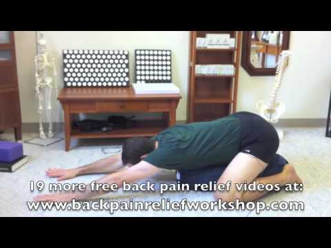 How do therapy exercise work to reduce back pain?