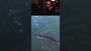 Man Regrets Teasing A Crocodile