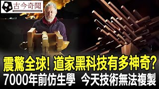 震驚全球！道家黑科技有多神奇？來自7000年前的仿生學，今天的技術無法複製！#道家#歷史#奇聞#考古#古墓#文物#古今奇聞