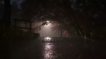 الراحة النفسية | تلاوة من سورة الفرقان للقارئ محمد هشام