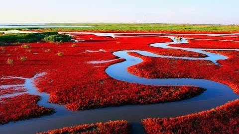 جزء عم كامل  بصوت القارئين توفيق الصائغ وماجد الزامل  Quran