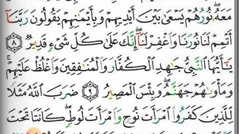 مصحف التجويد صفحة 561 إبراهيم الأخضر 🕋🌲
