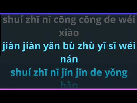Bian Xin De Chi Bang 变心的翅膀 female karaoke