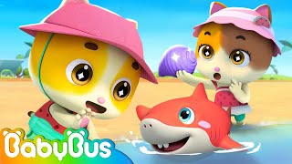 Play at the Beach | Safety for Kids | Kitten Family | Nursery Rhymes & Kid Songs | BabyBus
