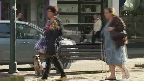 Teste de solidariedade: existe preconceito com raças de cães?