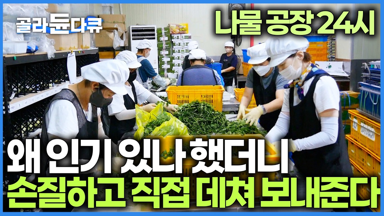 잘못 데치면 맛없는 봄나물, 이제는 좌절할 필요 없다. 손질부터 직접 데쳐서 나오는 나물 공장｜울릉도 특산물 부지깽이나물｜극한직업｜#골라듄다큐