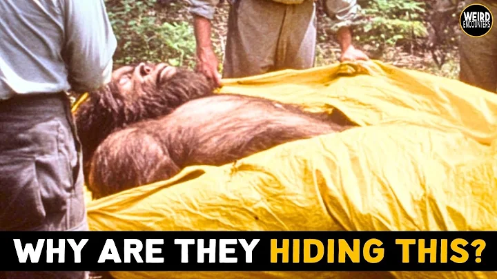 *WARNING* North Carolina Woods Hiding Something HORRIFYING