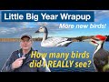 LIttle Big Year Wrapup: Final total, top-10 best birds, and my plans for 2025!