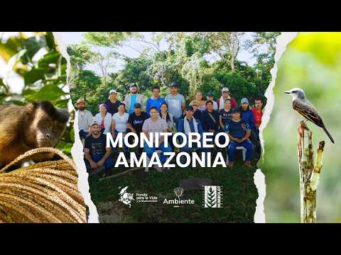 Monitoreo de la biodiversidad en la Amazonia colombiana