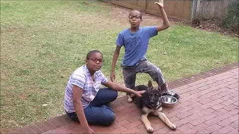 How to Solve Partial Products and Partial Quotients Easily