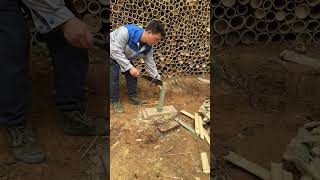 Cross Knife Splits Bamboo Neat &amp; Efficient