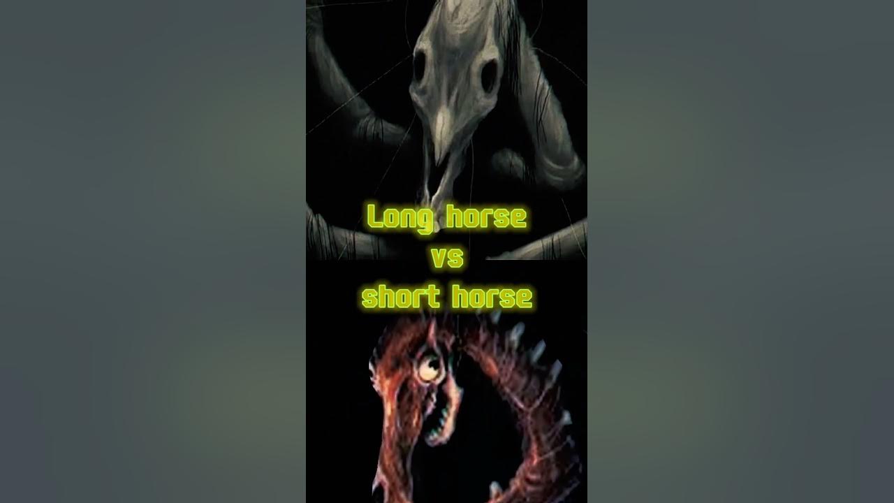 Long horse vs short horse Long horse vs short horse