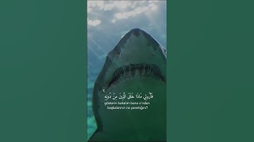 (هَـٰذَا خَلۡقُ ٱللَّهِ)اجمل تلاوة هادئة بصوت القارئ شريف مصطفى 😴❤️