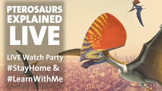 Pterosaurs Explained LIVE: StayHome & LearnWithMe