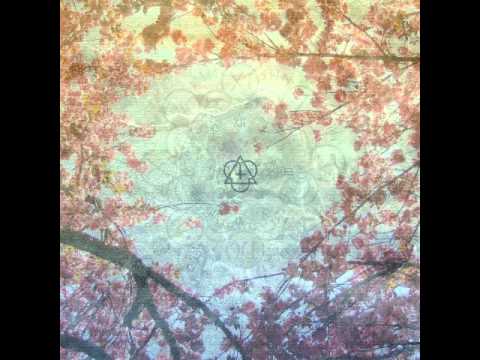 Trophy Scars — Trophy Scars - Never Dead