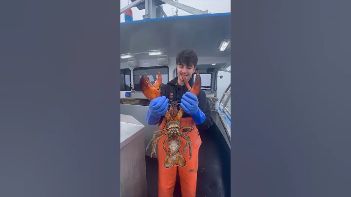 I Became a Lobster Fisherman - DayDayNews