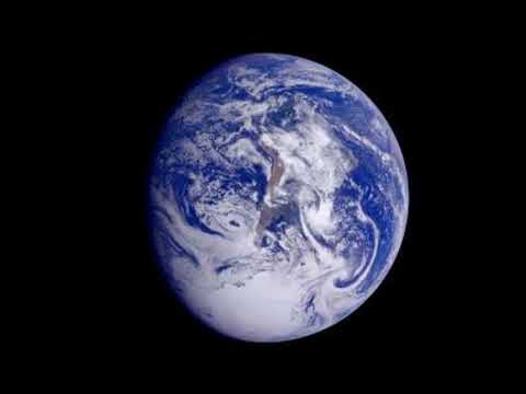 Plum' - Gaia