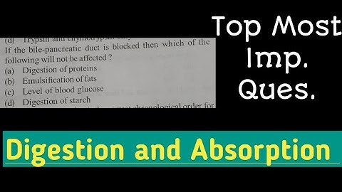 Top Most Important questions of DIGESTION AND ABSORPTION | NEET | AIIMS | Ravish Videos|