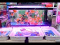 [4K] 2020 "Chatuchak Fish Market" tropical fish market aquarium, Bangkok