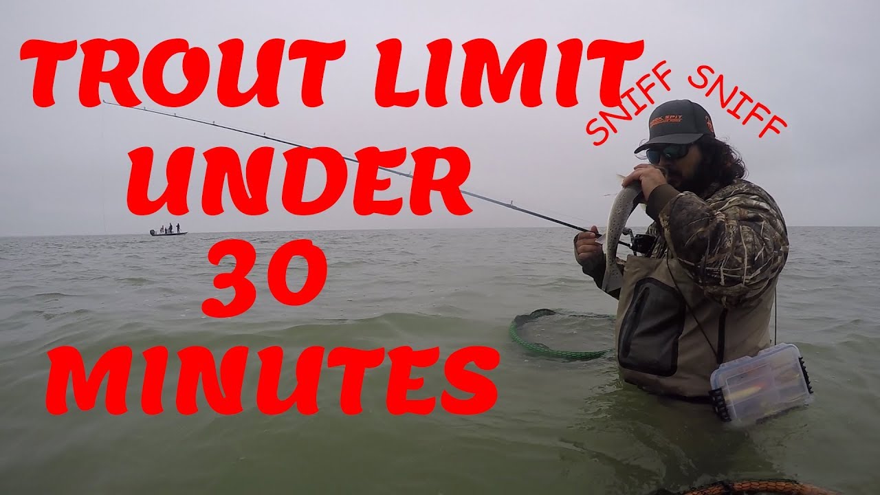 LIMIT of TROUT in UNDER 30 MINUTES Wade Fishing Location Revealed
