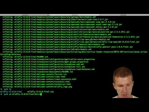 Video: Làm cách nào để ngăn WildFly khỏi dòng lệnh?