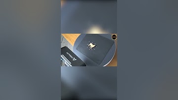 Otter Scanning human body