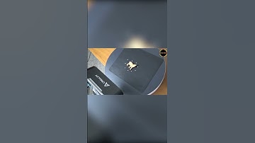 Otter Scanning human body